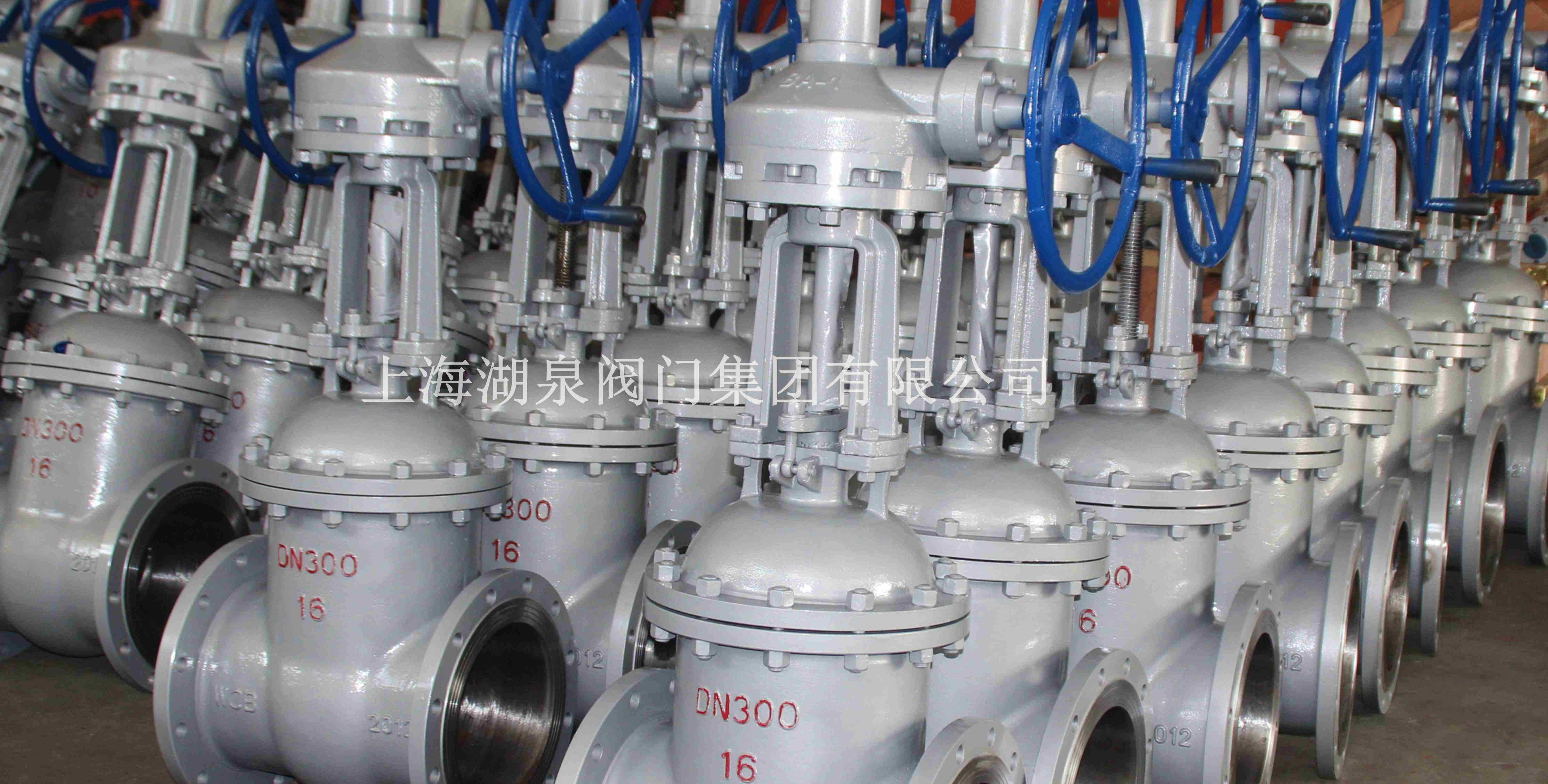 手動(dòng)閘閥廠(chǎng)家